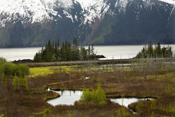 Snötäckta bergskedjan två sjöar seward highway anchorage alaska — Stockfoto