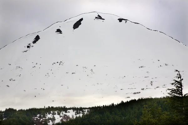 Neve Montagna Contorno Albero Verde Ancoraggio Alaska — Foto Stock