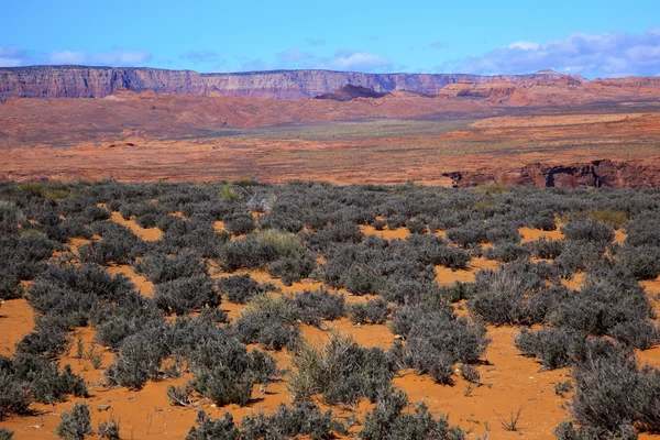 Turuncu kahverengi kum boyalı çöl yeşil sagebrush kırmızı vermillion — Stok fotoğraf