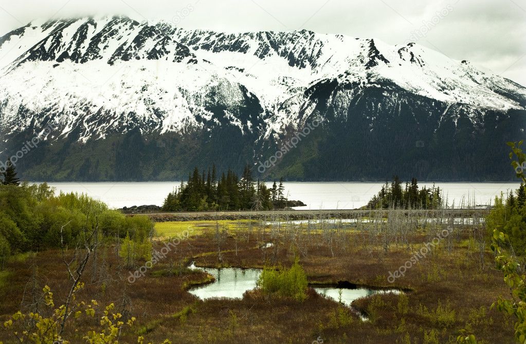 Snow Mountain Landscape Seward Highway Anchorage Alaska