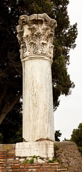 Oude Romeinse kolom ostia antica rome Italië — Stockfoto