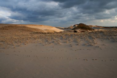 Cape Cod Footprints in Sand Dunes National Seashore Provincetown clipart