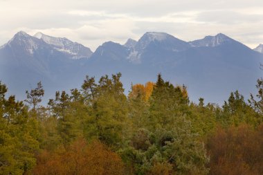 Mountains Fall Colors National Bison Range Charlo Montana clipart