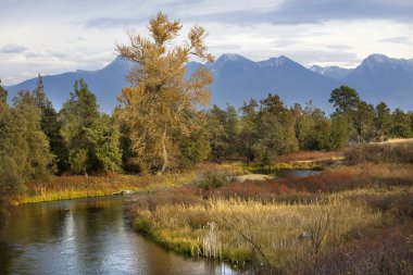 River Snow Mountains Fall Colors National Bison Range Charlo Mon clipart