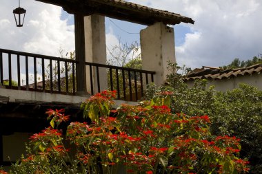 Kırmızı Atatürk çiçeği ağacının Sanat Evi patzcuaro Meksika