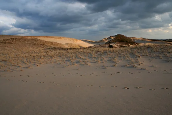 Cape cod ayak kum tepeleri Milli seashore provincetown içinde — Stok fotoğraf