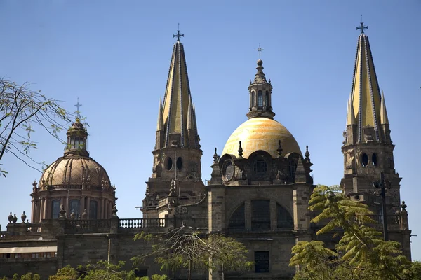 Catedral de Guadalajara Vista general Dos cúpulas Dos alambres — Foto de Stock