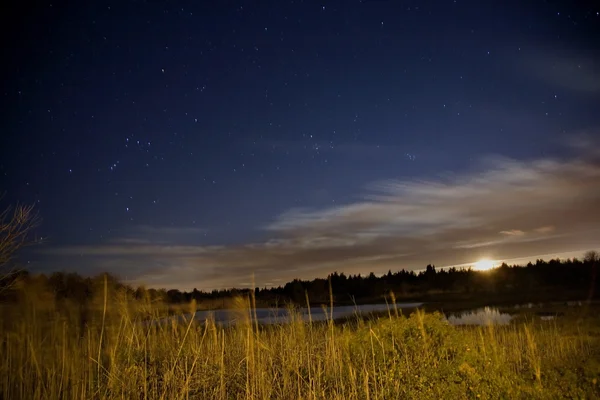 Заливное болото под звездами и Луной — стоковое фото