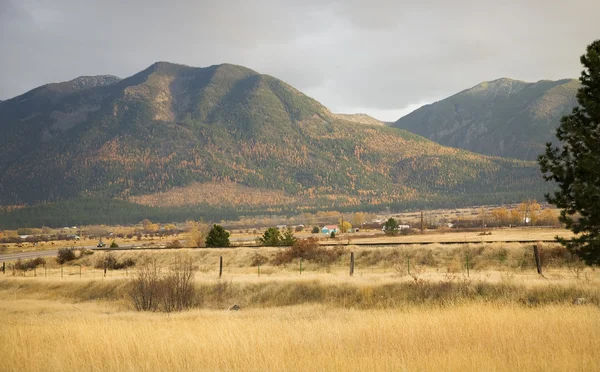 Pa? ac Bielawa gele boerderij in de heuvels vallen kleuren en gele gras mis — Stockfoto