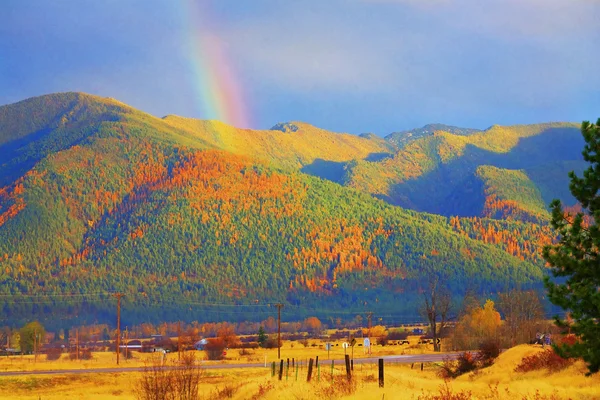 Montana streszczenie tęcza złoto żółty tamarack drzew w górach — Zdjęcie stockowe