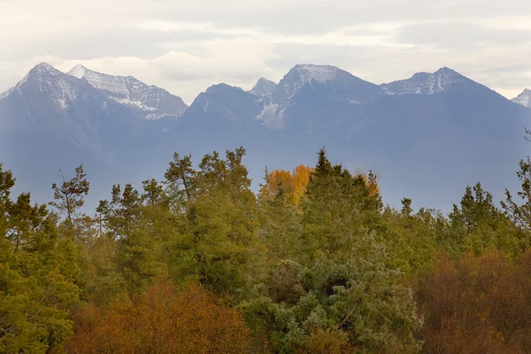 Berge fallen Farben nationale Bisons Bereich charlo montana — Stockfoto