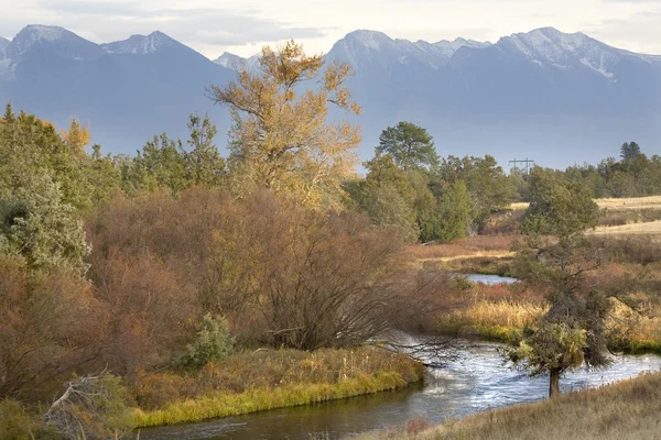 Sonbahar renkleri nehir yansımaları ulusal bison çaldı Dağları kar — Stok fotoğraf