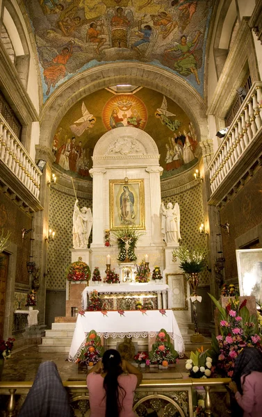 Orando ao Santuário de Guadalupe, Cidade do México — Fotografia de Stock
