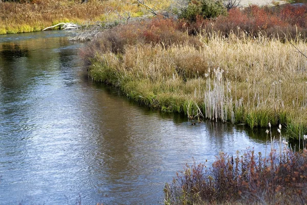 Fluss Reflexionen Gras fallen Farben nationale Bisons Bereich charlo — Stockfoto