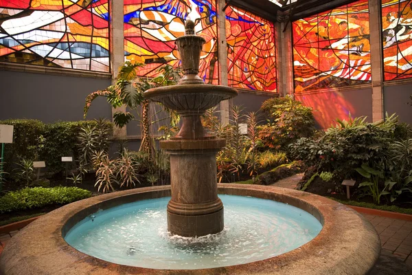 Cosmovitral Garden with Fountain Toluca Mexico — Stock Photo, Image