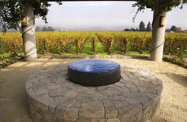 Fontana del giardino Vigneti Nebbia Albero Napa California — Foto Stock
