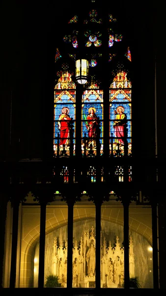雕像染色玻璃长圣 Patrick 大教堂纽约城 — 图库照片