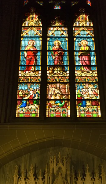 彩色玻璃雕像圣 Patrick 大教堂纽约城 — 图库照片
