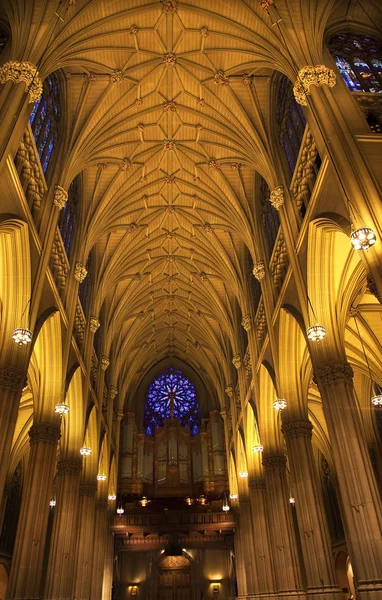 St. Patrick 's Cathedral im Inneren der Orgel Buntglasbögen neu y — Stockfoto