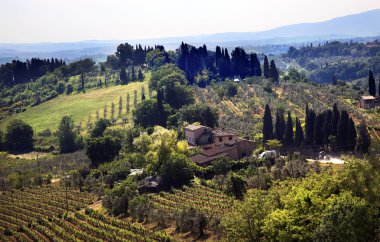 Tuscan Farm Vineyard San Gimignano Tuscany Italy clipart