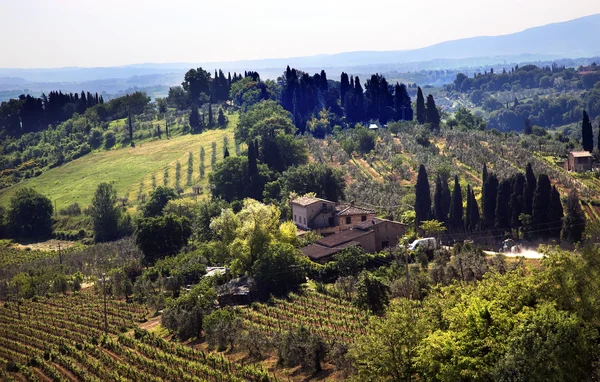 Тосканской ферме виноградник Сан-Джиминьяно Тоскана Италия — стоковое фото