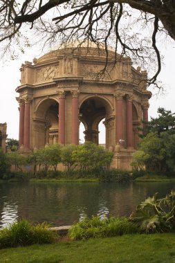 Güzel Sanatlar Müzesi san francisco c pembe kubbesi yeşil çim Sarayı