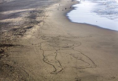 kum boyama kadın noktası lobos beach san francisco Kaliforniya