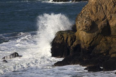 san francisco californi beyaz surf kayalıklarla point lobos mühür kayalar