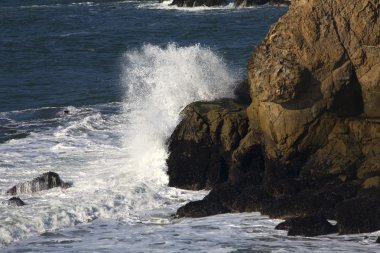 White Surf Cliffs Point Lobos Seal Rocks San Francisco Californi clipart