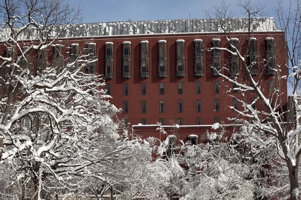 Berufungsgericht Federal Circuit schneebedeckten Bäumen lafayette Park waschen — Stockfoto