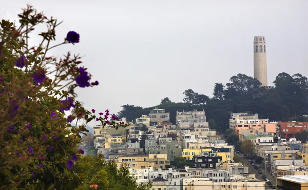 Πύργος Coit λουλούδια Σαν Φρανσίσκο στην Καλιφόρνια — Φωτογραφία Αρχείου