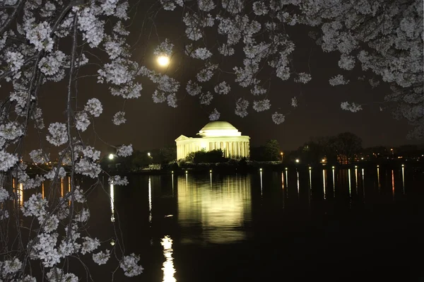 Jefferson-Denkmal bei Nacht mit Mond und Kirschblüten — Stockfoto