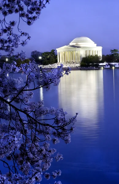 Jefferson memorial met cherry blossoms — Stockfoto