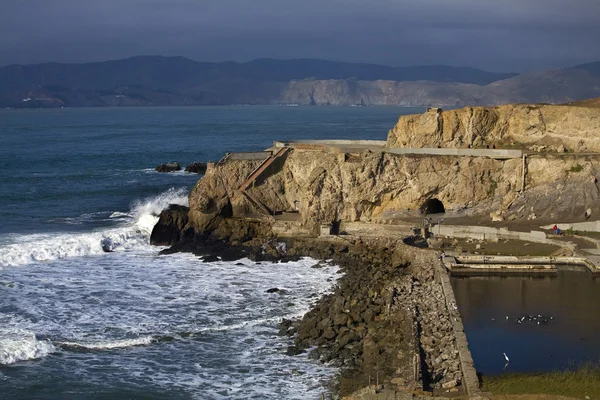Point Lobos Seal Rocas San Francisco California — Foto de Stock