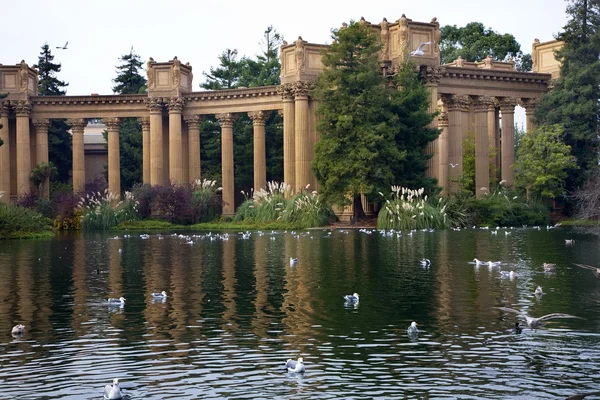 stock image Seagulls Water Reflections Palace of Fine Arts Museum San Franci