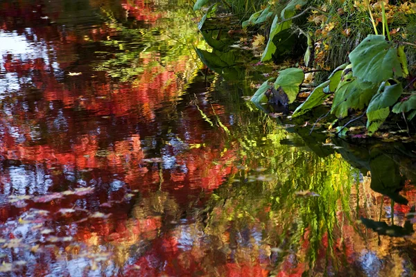 Van dusen tuin water reflecties vancouver Brits-columbia — Stockfoto