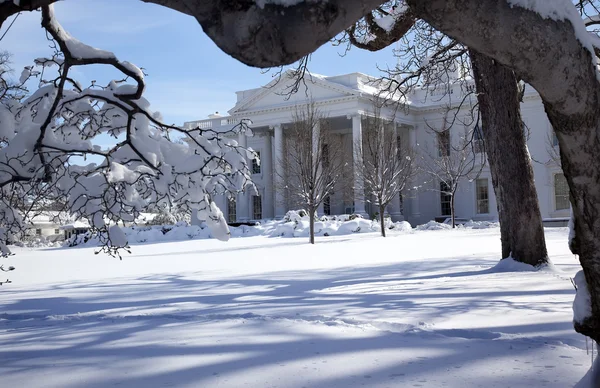 Pennsylvania ave Kar Beyaz Saray ağaçlar sonra washington dc — Stok fotoğraf