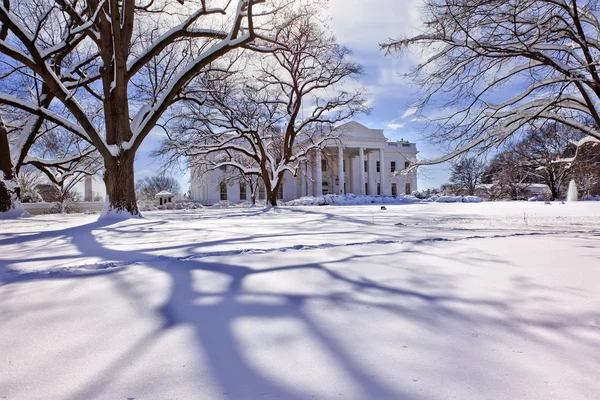 Árboles de la Casa Blanca Después de Nieve Pennsylvania Ave Washington DC —  Fotos de Stock
