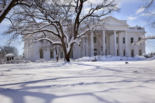 Árvores da Casa Branca após a neve Pensilvânia Ave Washington DC — Fotografia de Stock