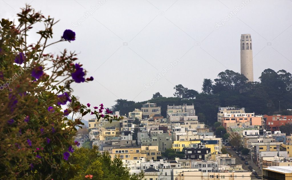 Coit Tower Flowers San Francisco California