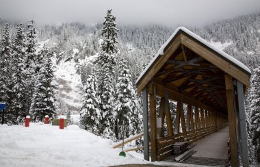 Wooden Covered Bridge Snowy Trees Washington clipart