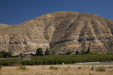 Washington state elma çiftliği yakima washington