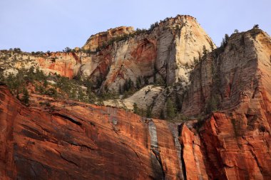 yeşil ağaçlar kırmızı beyaz kanyon duvarları sinawava zion canyo Tapınağı