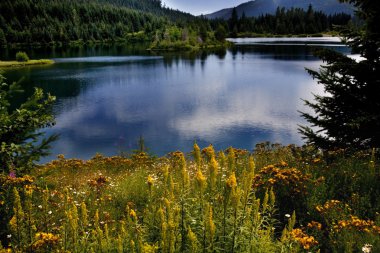 Altın Göl snoqualme geçmek washington