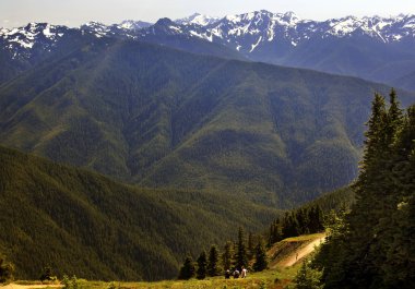 Hiking Green Valleys Evergreens Snow Mountains Hurricane Ridge clipart