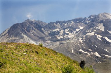 Caldera lav mount saint helens Volkanı Milli Parkı washi kubbe