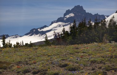 Little Mount Rainier Sunrise Wildflowers Snow clipart