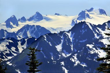 Mount Olympus Snow Mountains Hurricane Ridge Olympic National Pa clipart