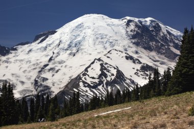 Mount Rainier Sunrise Picnic Time clipart