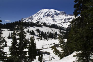 Mount Rainier, Snowy Paradise, June clipart